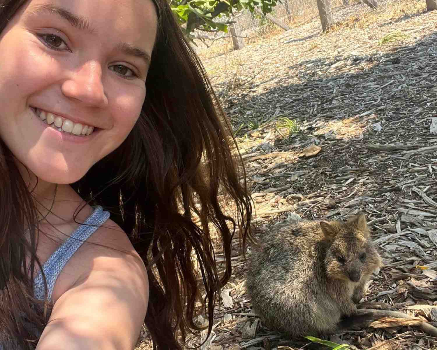Take a selfie with a quokka
